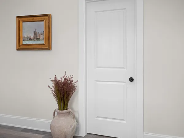 PVC WPC Door Panel
